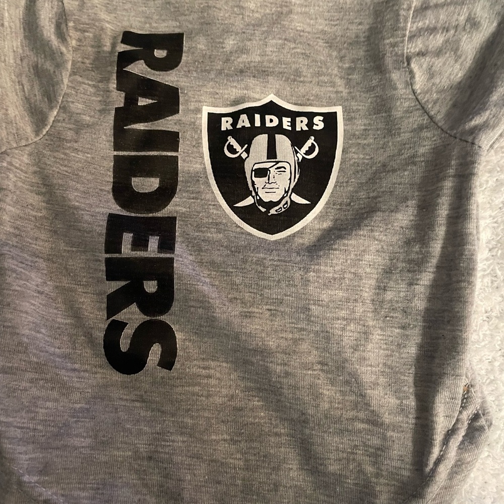 Raiders Dog T-Shirt in Gray
